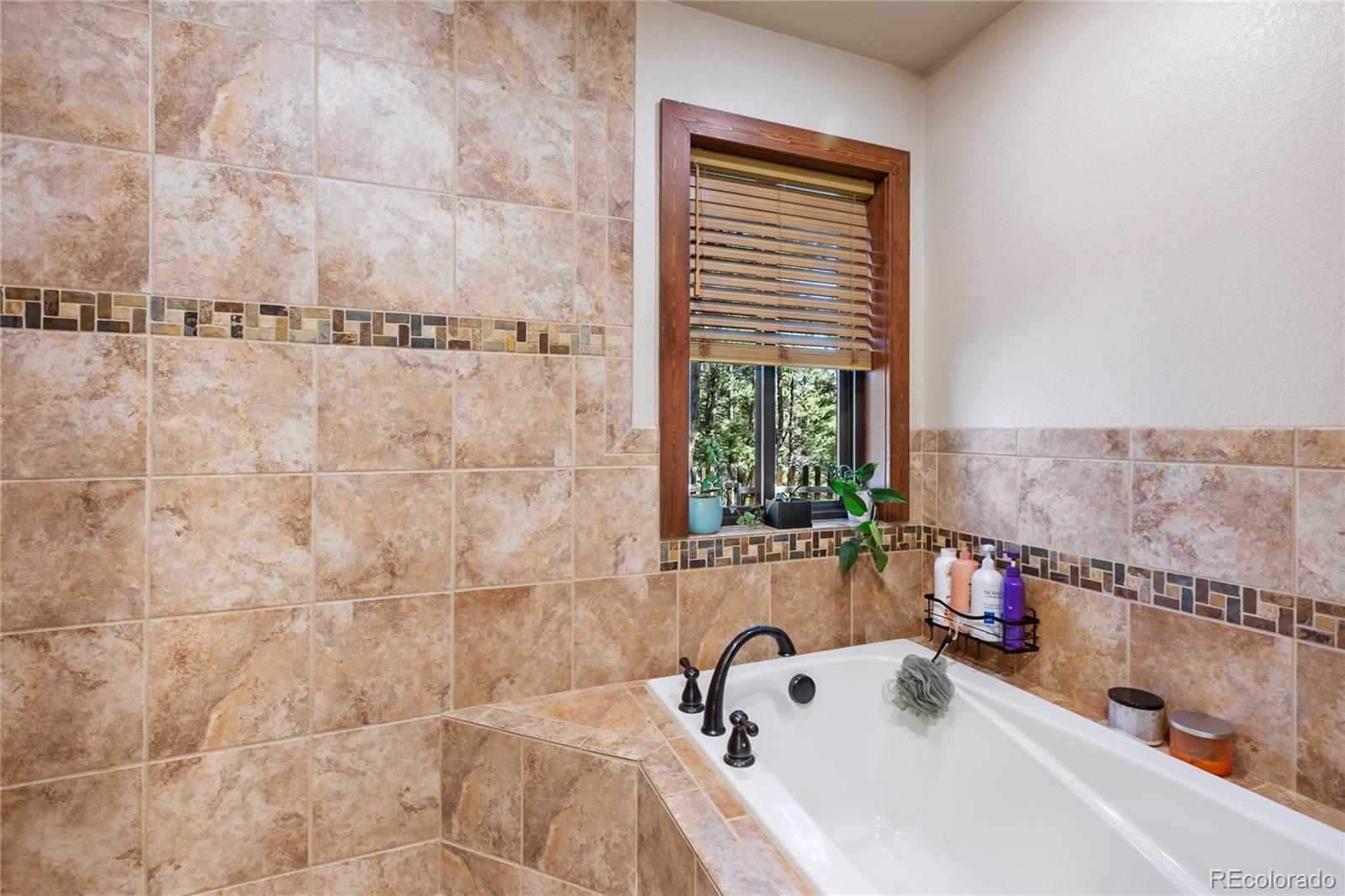 MLS Image #13 for 80  feldspar road,florissant, Colorado