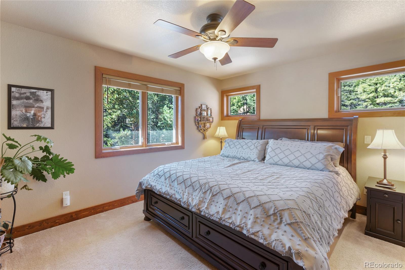MLS Image #15 for 80  feldspar road,florissant, Colorado
