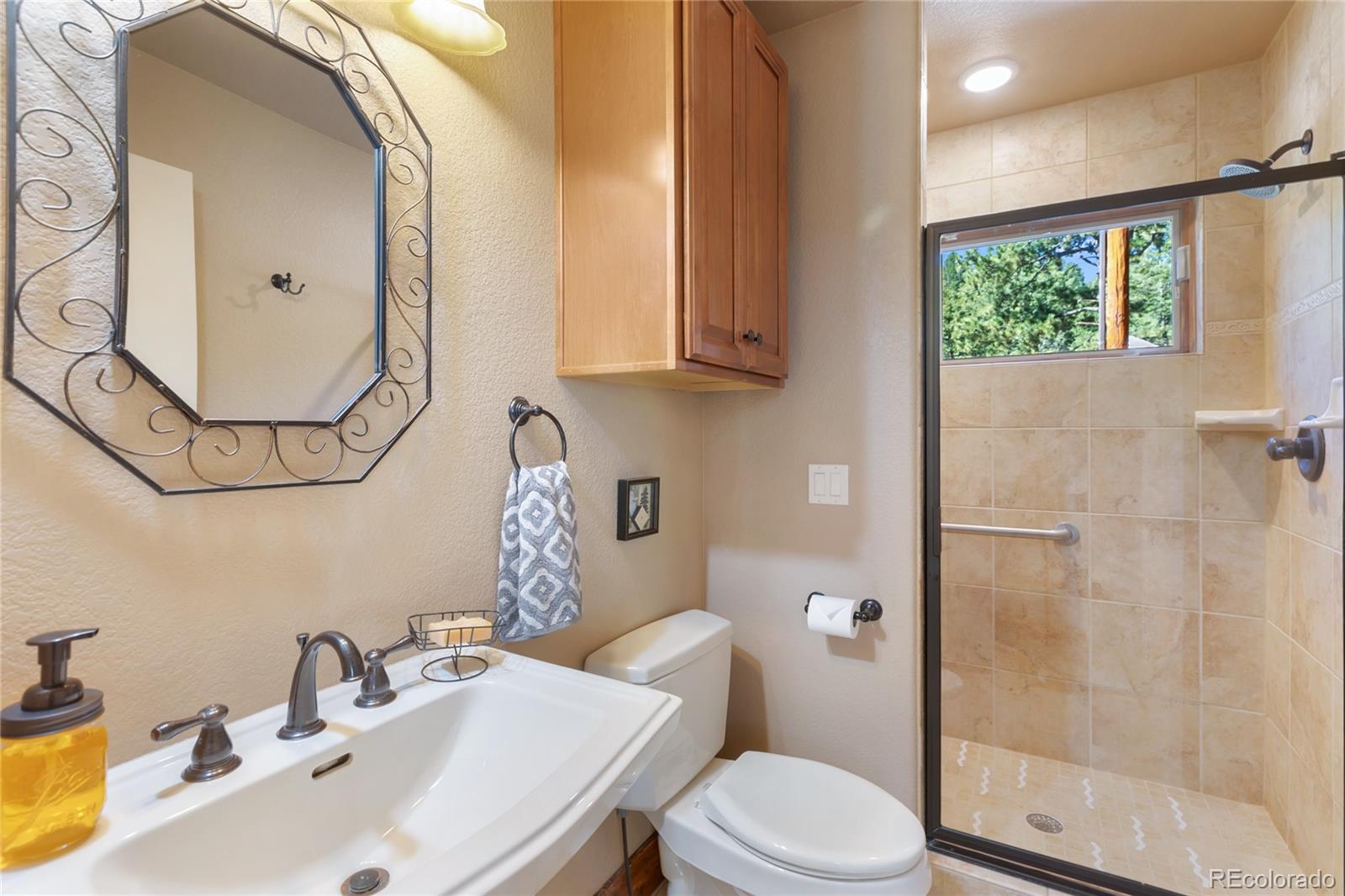 MLS Image #16 for 80  feldspar road,florissant, Colorado