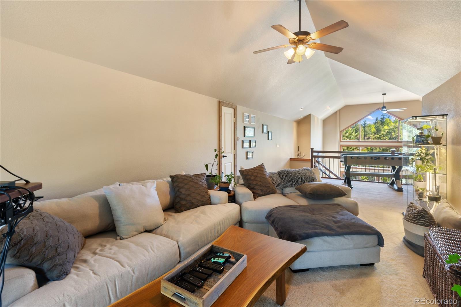 MLS Image #18 for 80  feldspar road,florissant, Colorado