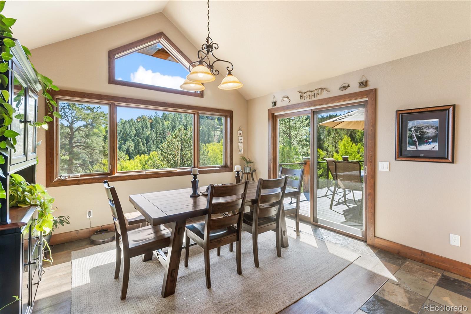 MLS Image #7 for 80  feldspar road,florissant, Colorado