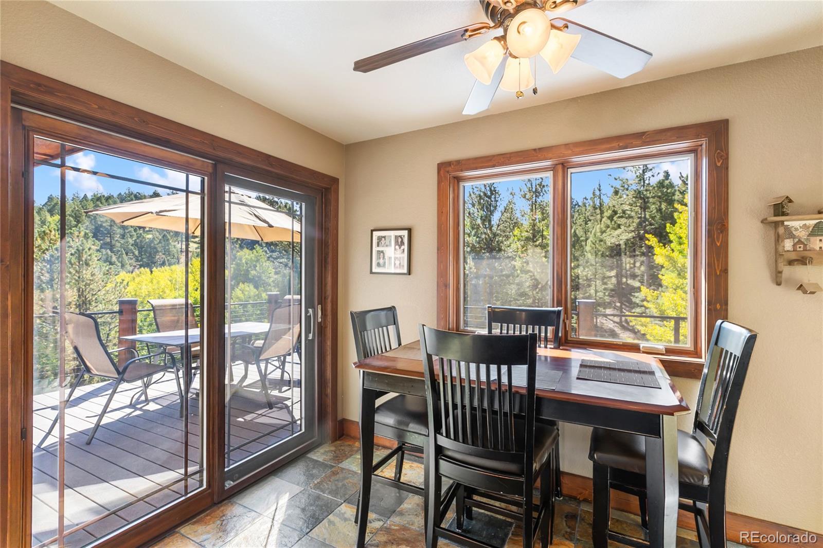MLS Image #9 for 80  feldspar road,florissant, Colorado