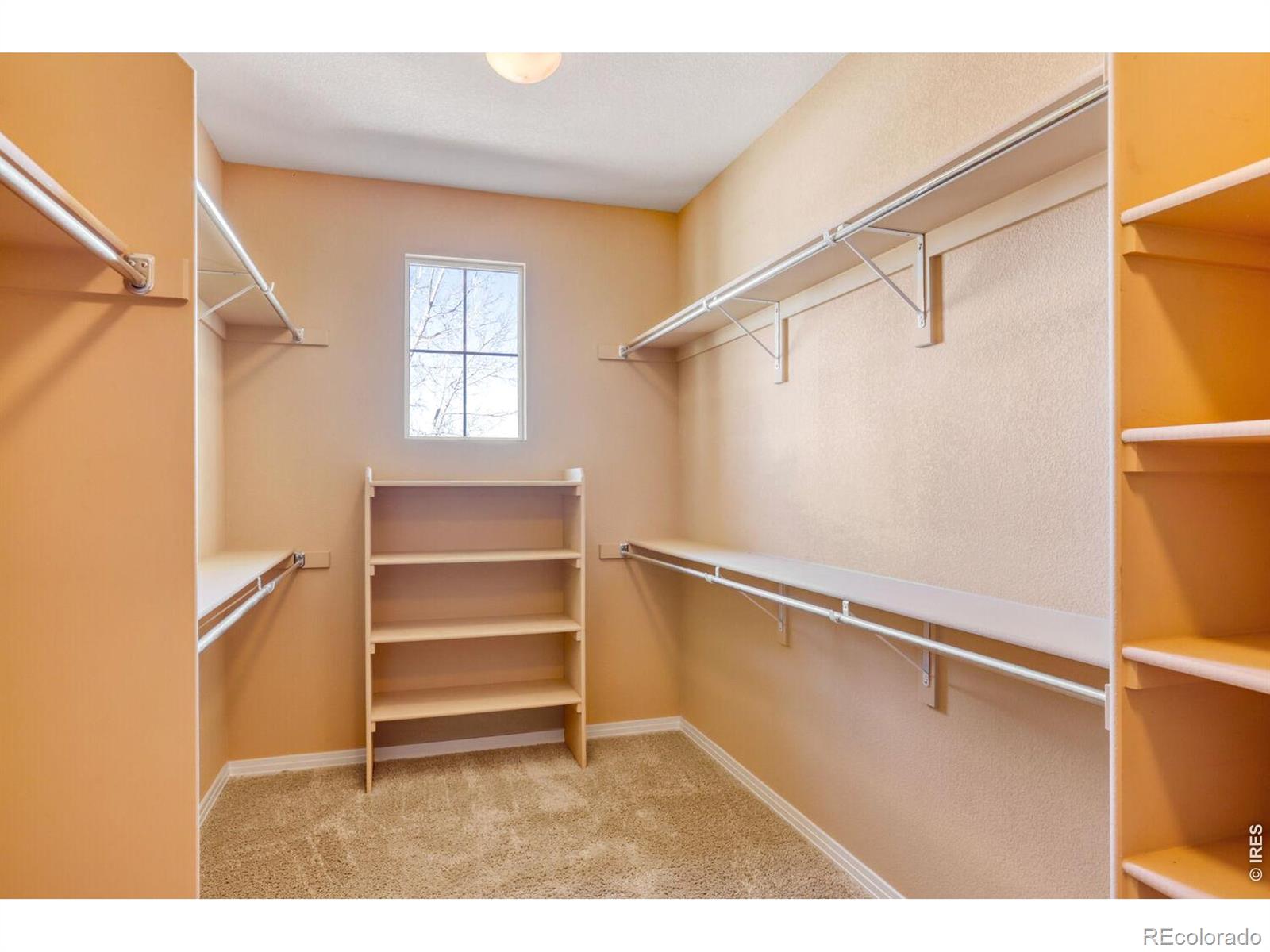 MLS Image #22 for 527  deerwood drive,longmont, Colorado