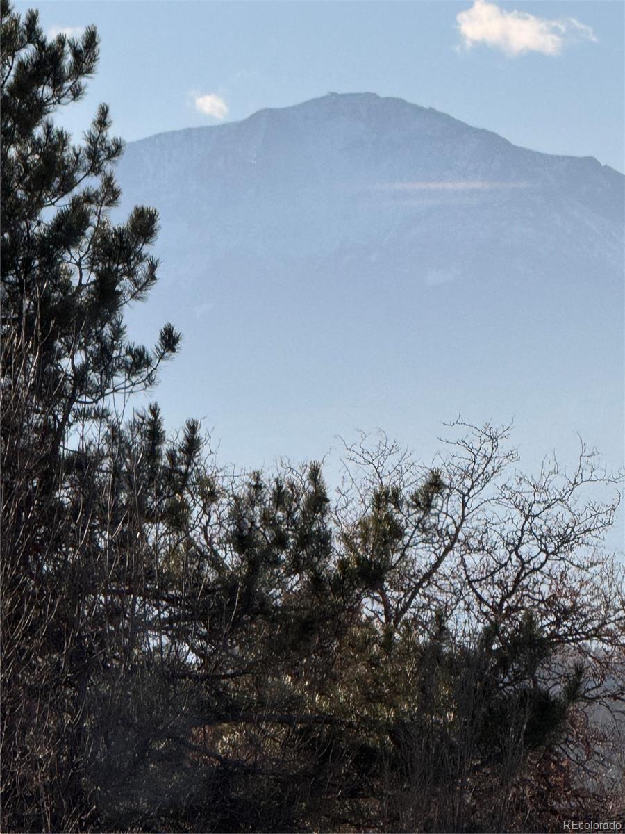 MLS Image #41 for 3019  oro blanco drive,colorado springs, Colorado