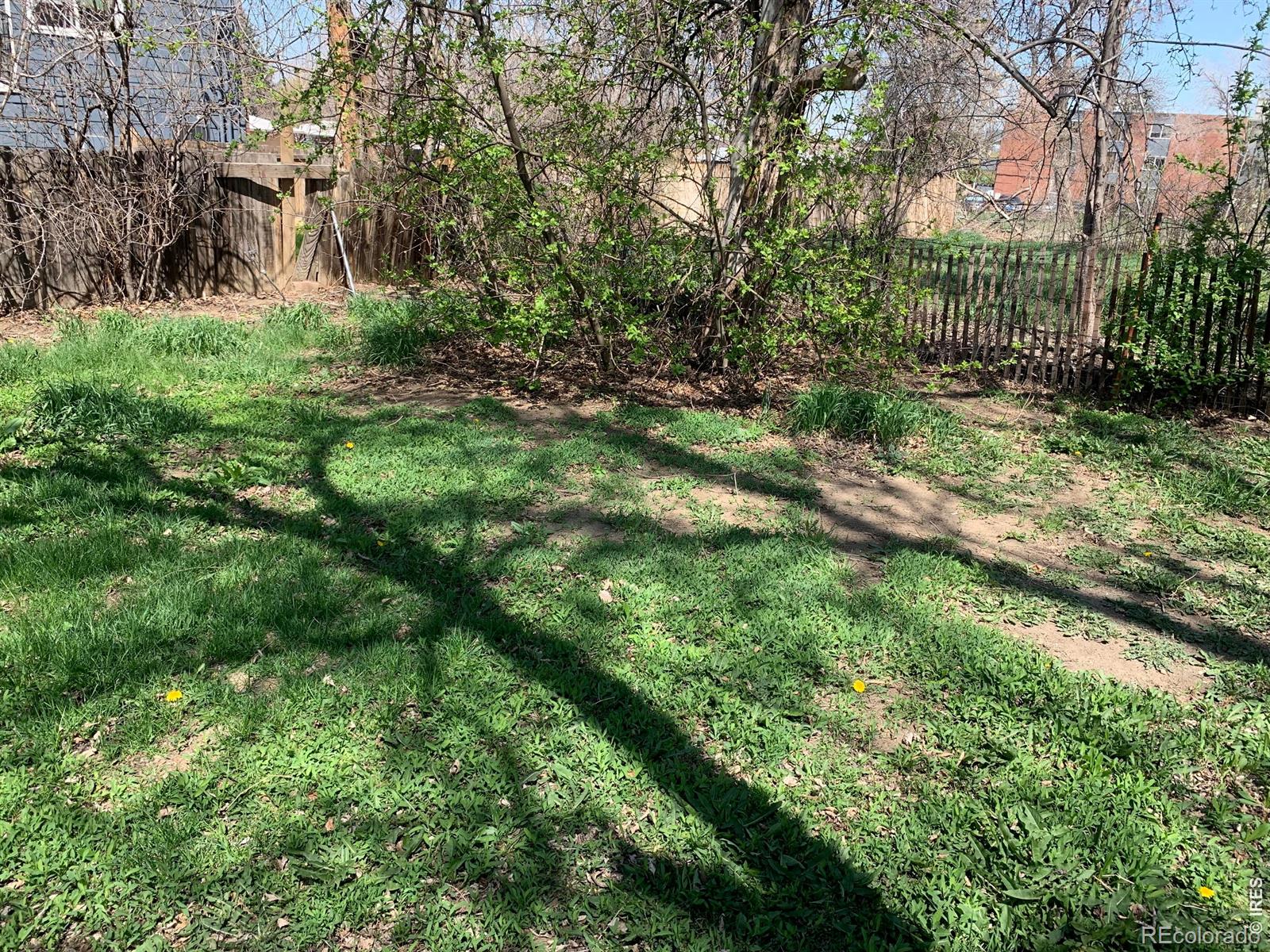MLS Image #12 for 1826  9th avenue,longmont, Colorado