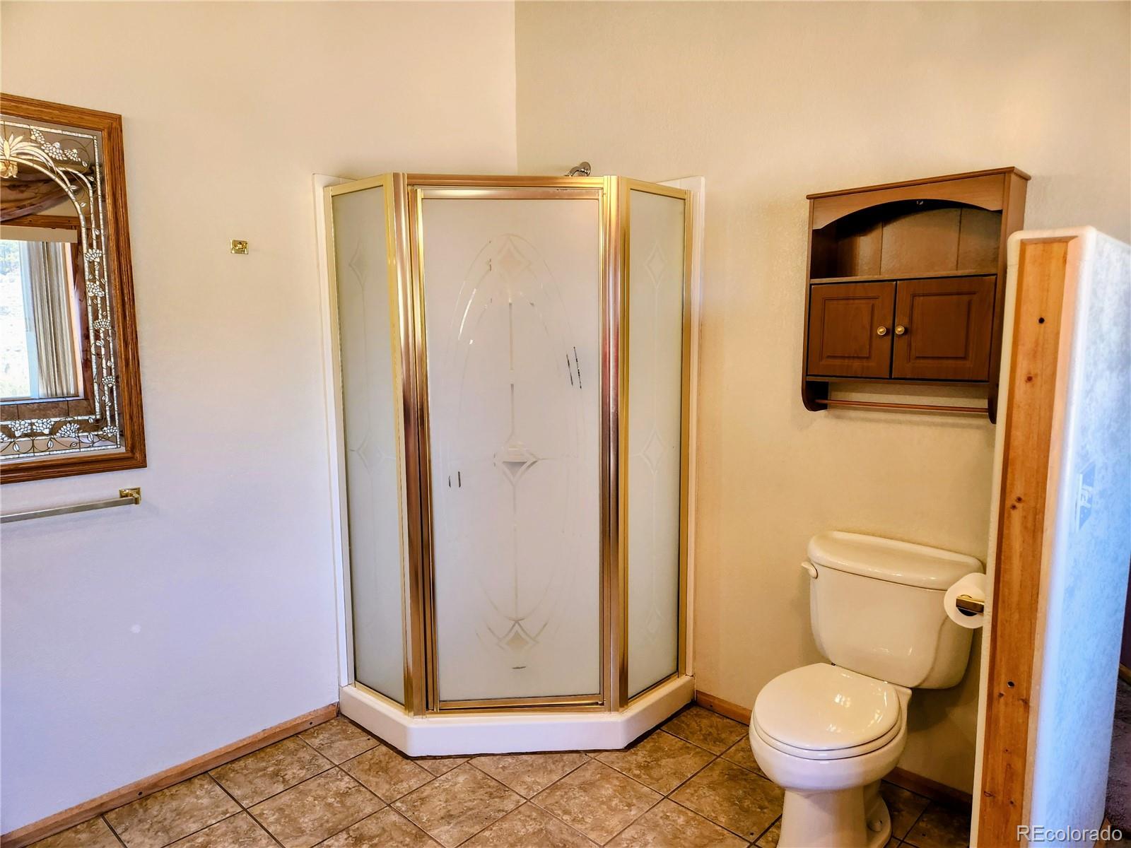 MLS Image #14 for 973  conejos trails ,antonito, Colorado