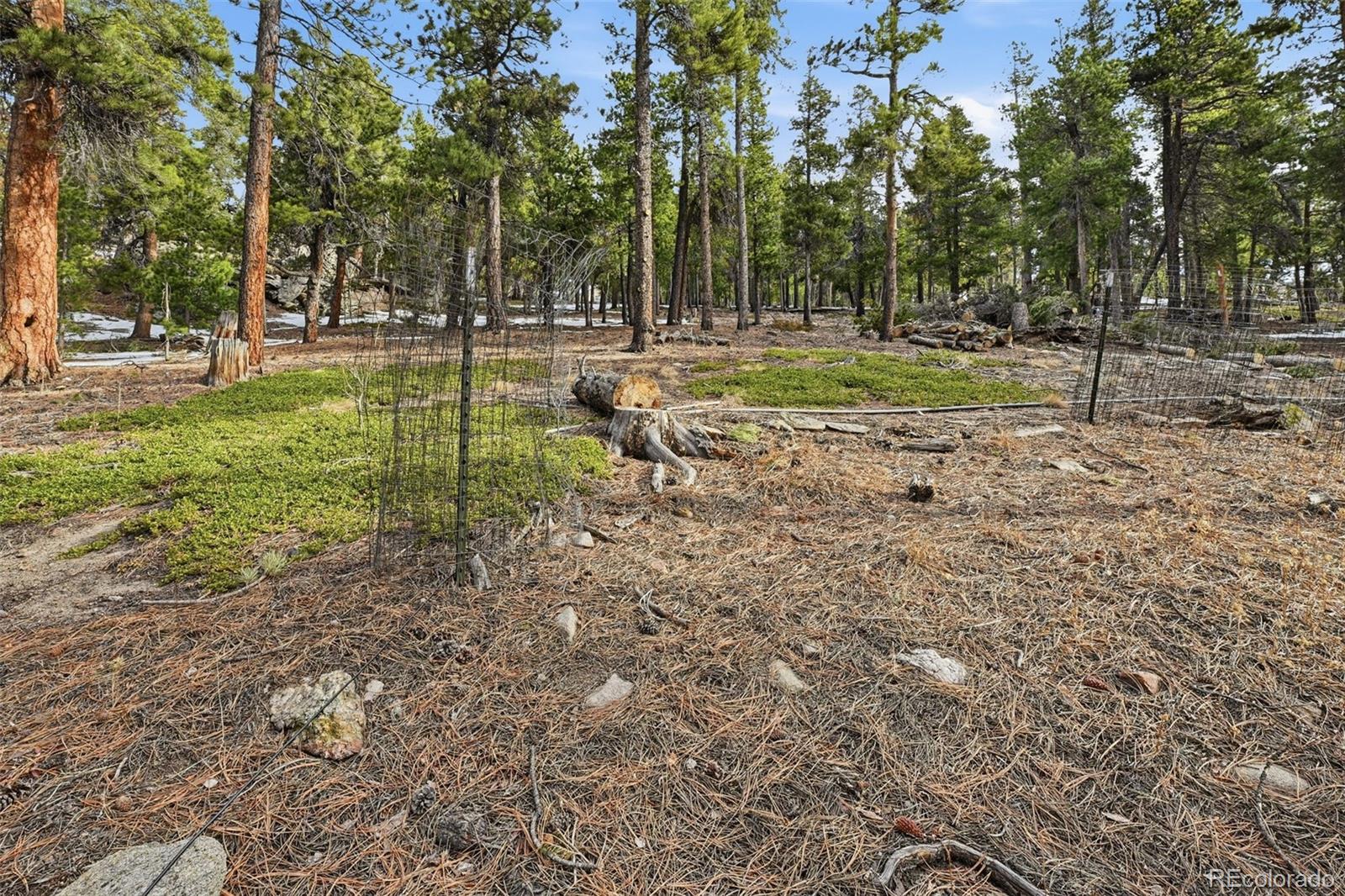 MLS Image #23 for 34089  lyttle dowdle drive,golden, Colorado