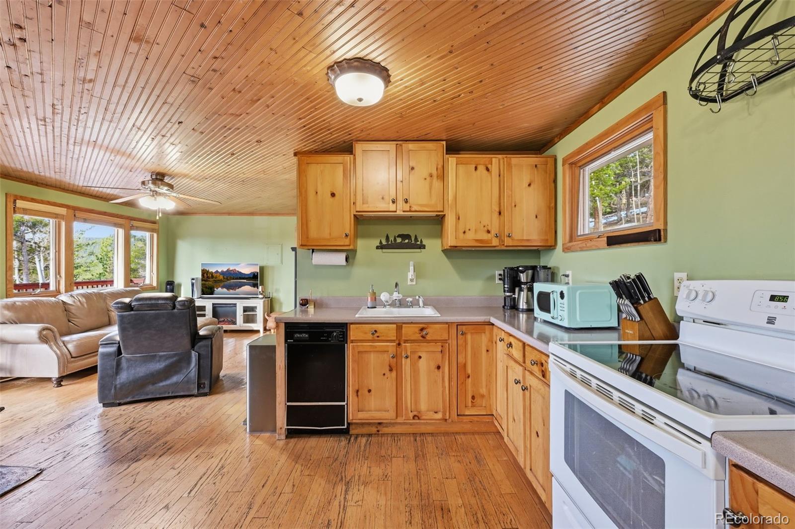 MLS Image #8 for 34089  lyttle dowdle drive,golden, Colorado