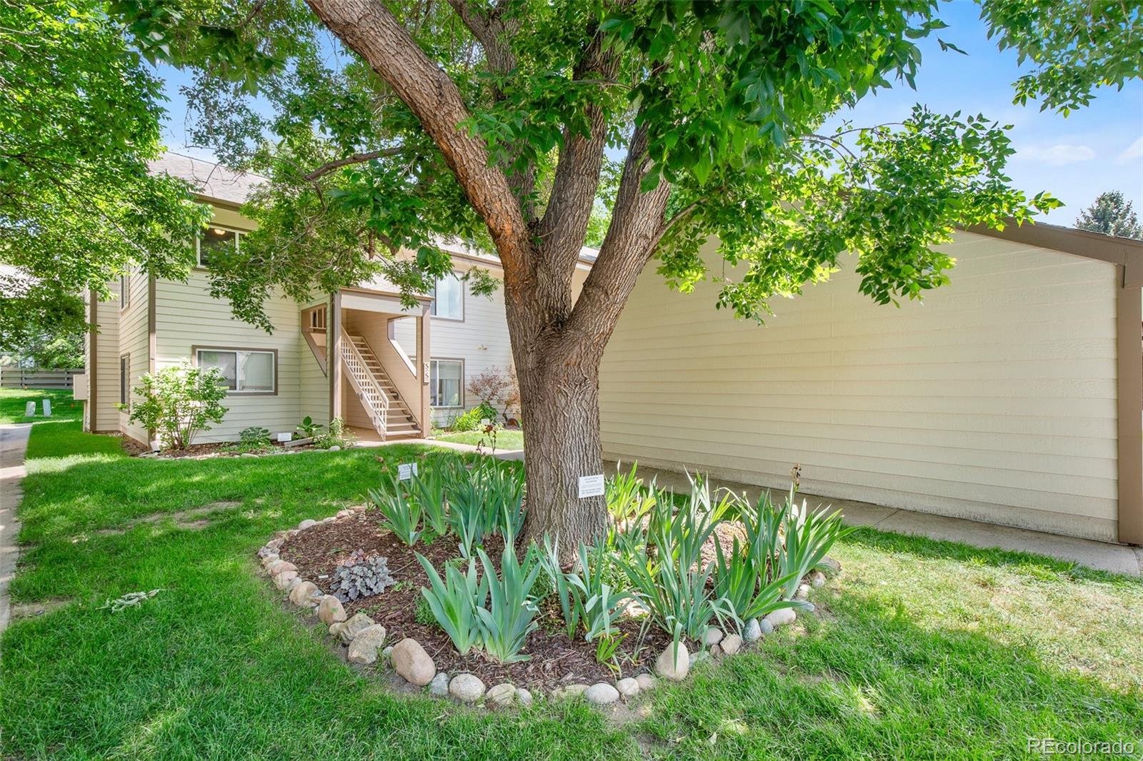 MLS Image #5 for 3465  lochwood dr ,fort collins, Colorado