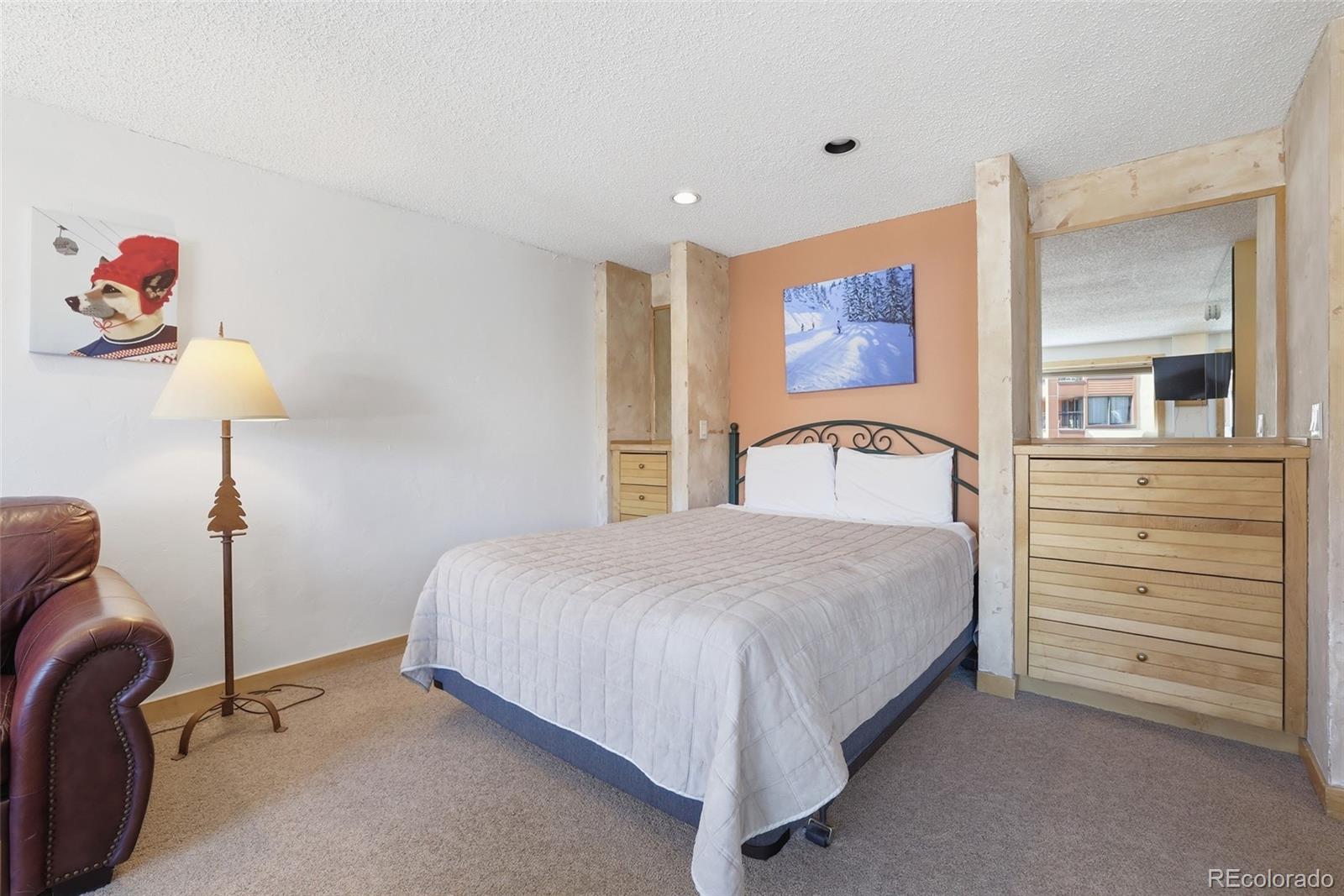 MLS Image #10 for 535 s park avenue,breckenridge, Colorado