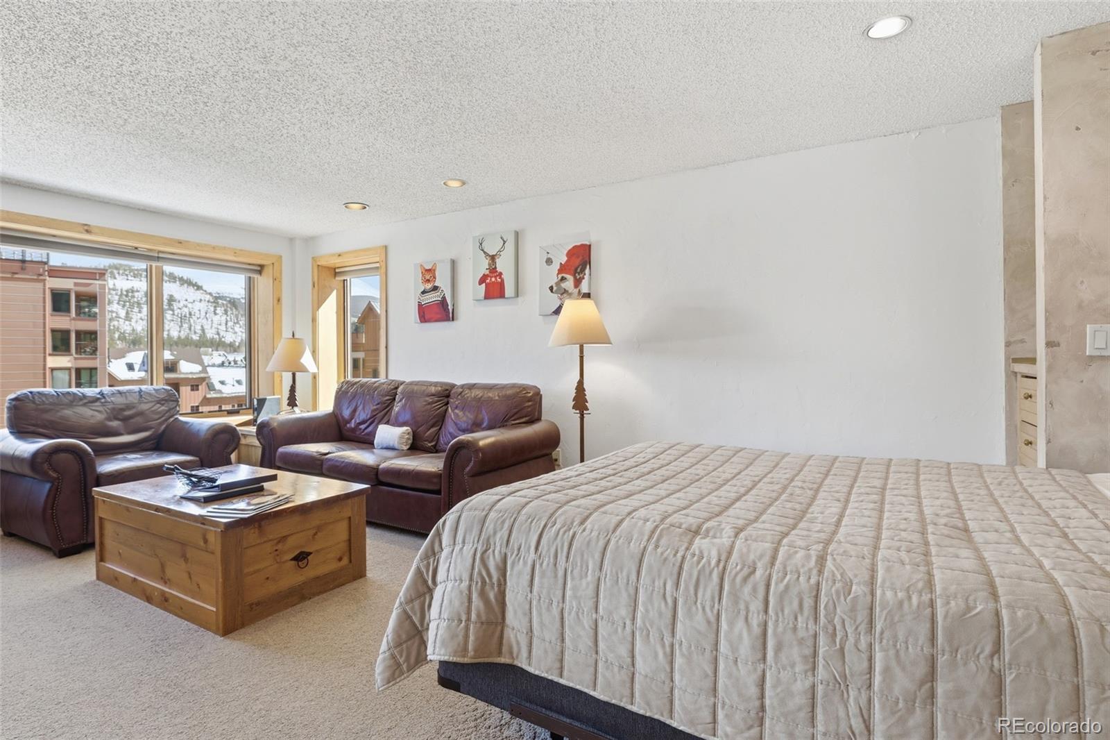 MLS Image #11 for 535 s park avenue,breckenridge, Colorado