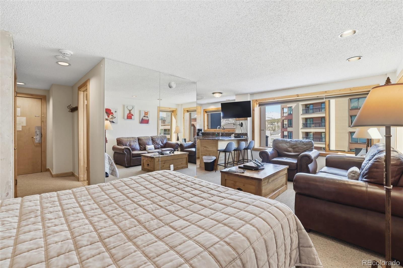 MLS Image #12 for 535 s park avenue,breckenridge, Colorado