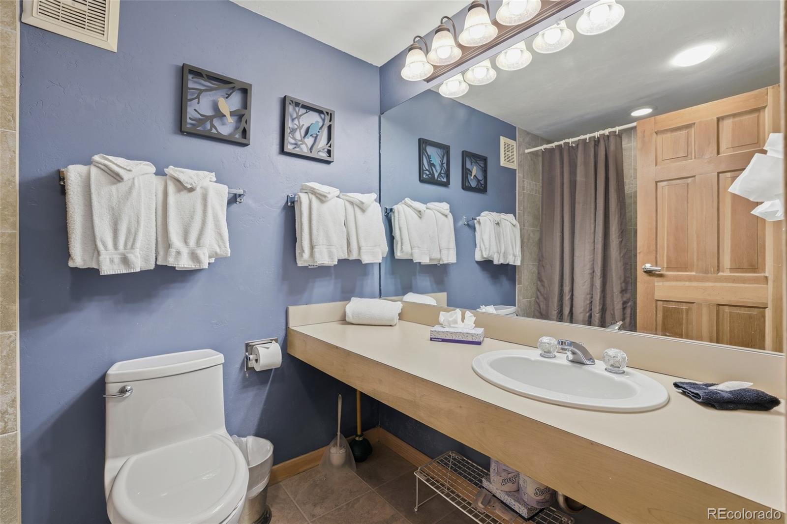 MLS Image #13 for 535 s park avenue,breckenridge, Colorado