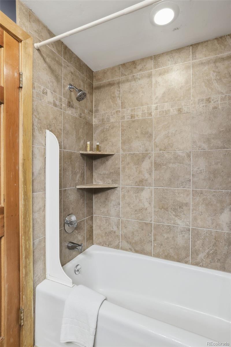 MLS Image #15 for 535 s park avenue,breckenridge, Colorado