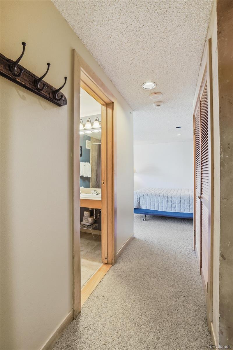 MLS Image #17 for 535 s park avenue,breckenridge, Colorado