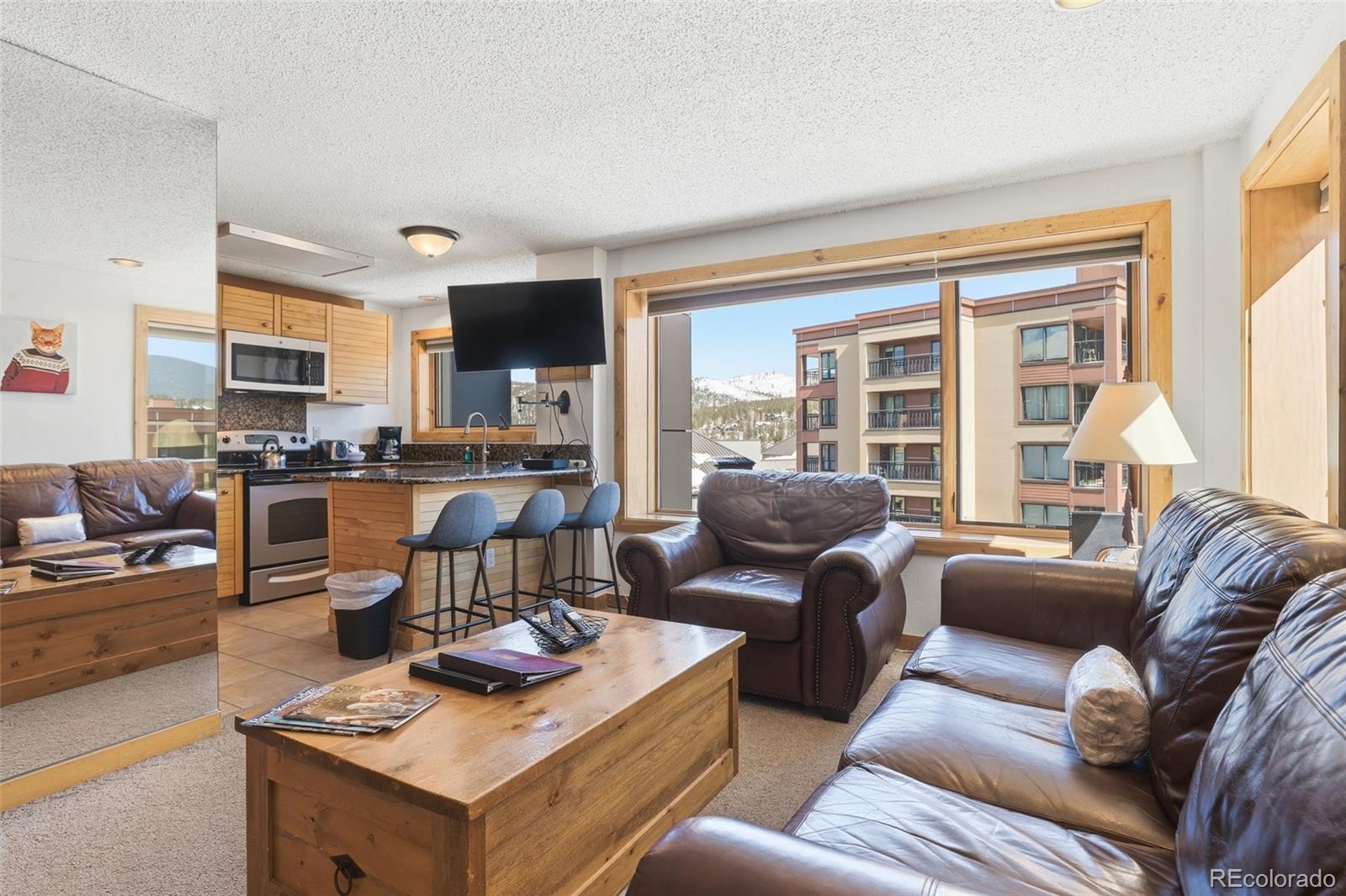MLS Image #2 for 535 s park avenue,breckenridge, Colorado
