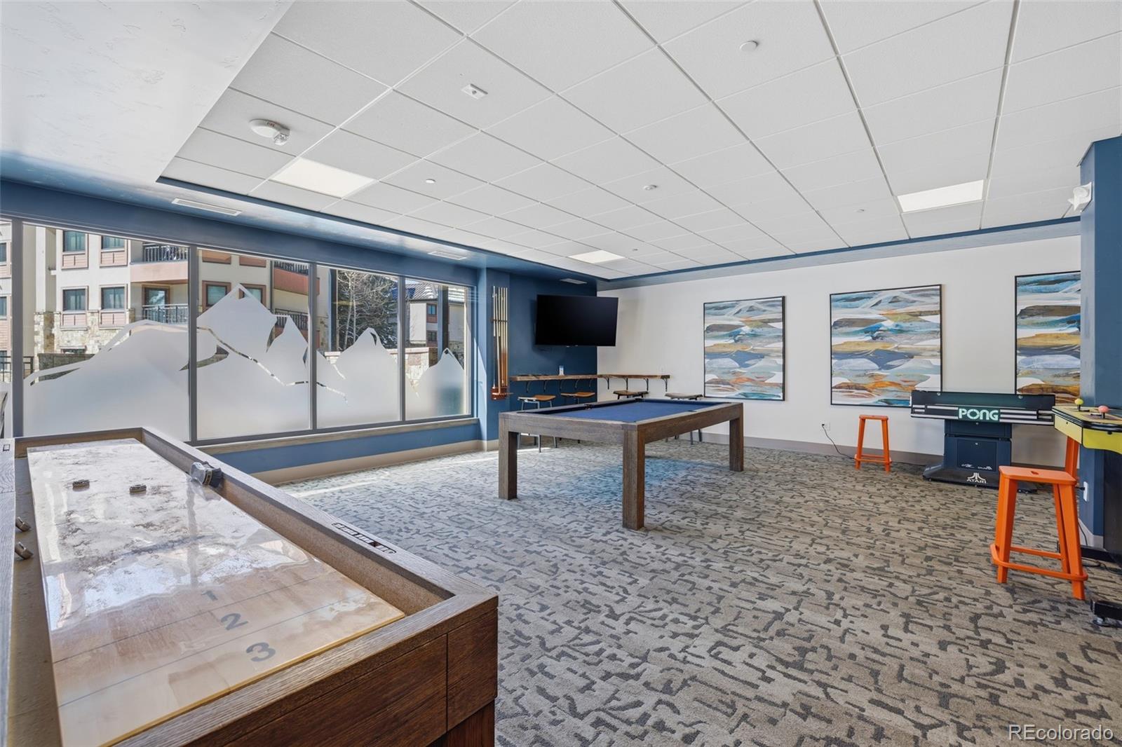 MLS Image #23 for 535 s park avenue,breckenridge, Colorado