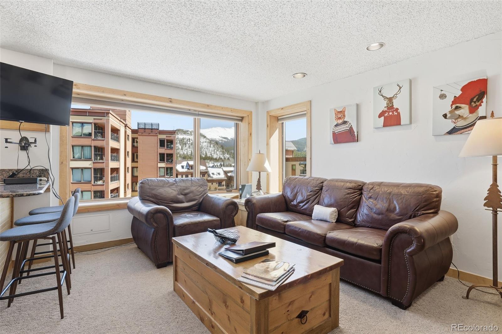 MLS Image #3 for 535 s park avenue,breckenridge, Colorado