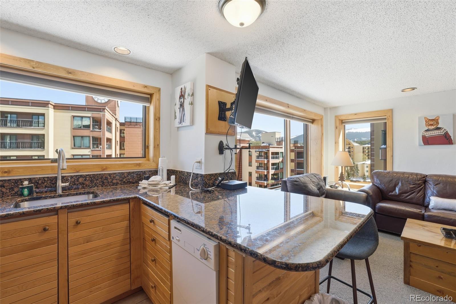 MLS Image #4 for 535 s park avenue,breckenridge, Colorado