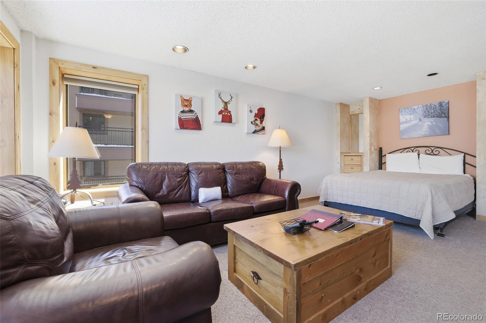 MLS Image #9 for 535 s park avenue,breckenridge, Colorado