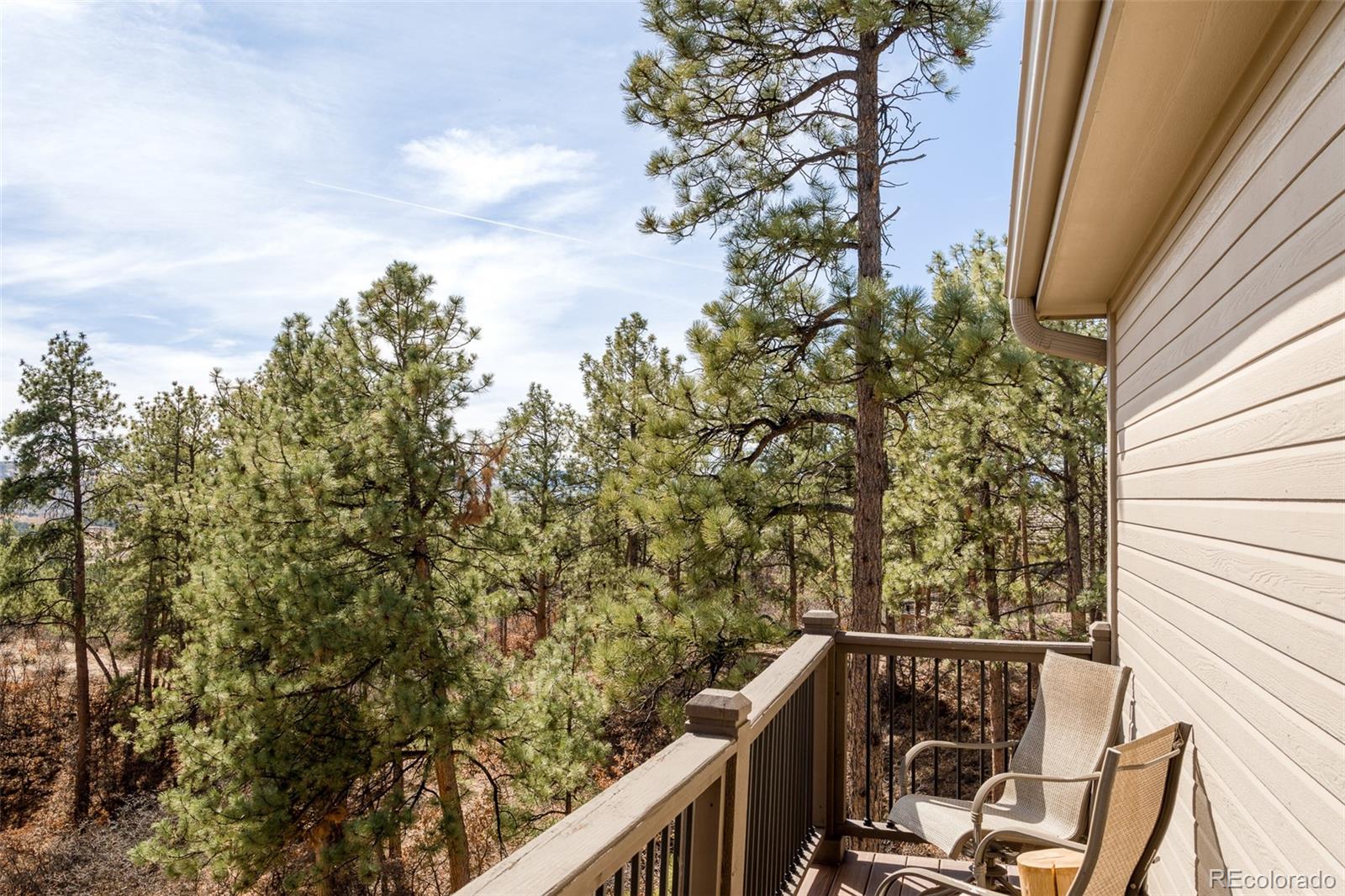 MLS Image #24 for 364  morning star way,castle rock, Colorado