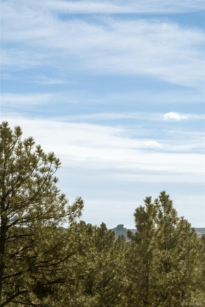 MLS Image #25 for 364  morning star way,castle rock, Colorado