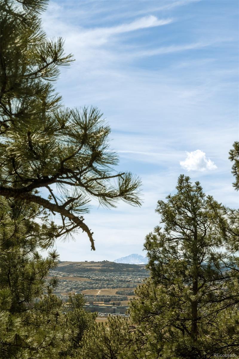 MLS Image #26 for 364  morning star way,castle rock, Colorado
