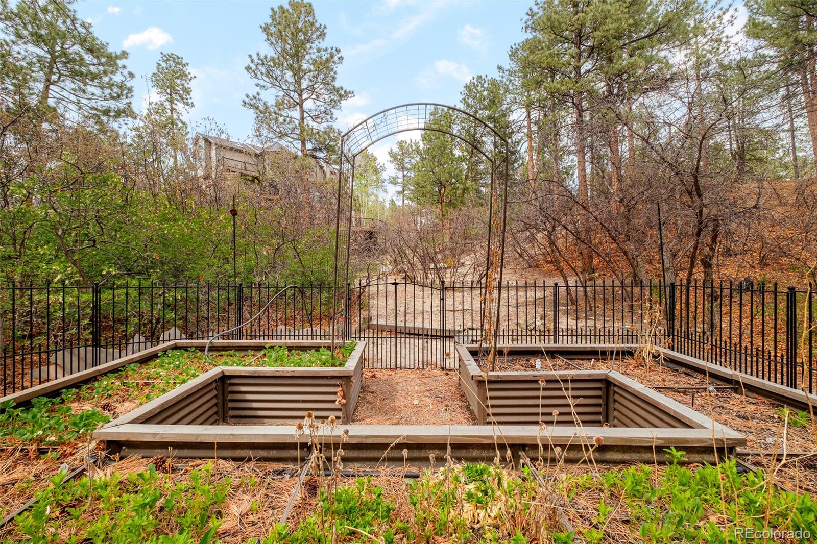 MLS Image #42 for 364  morning star way,castle rock, Colorado