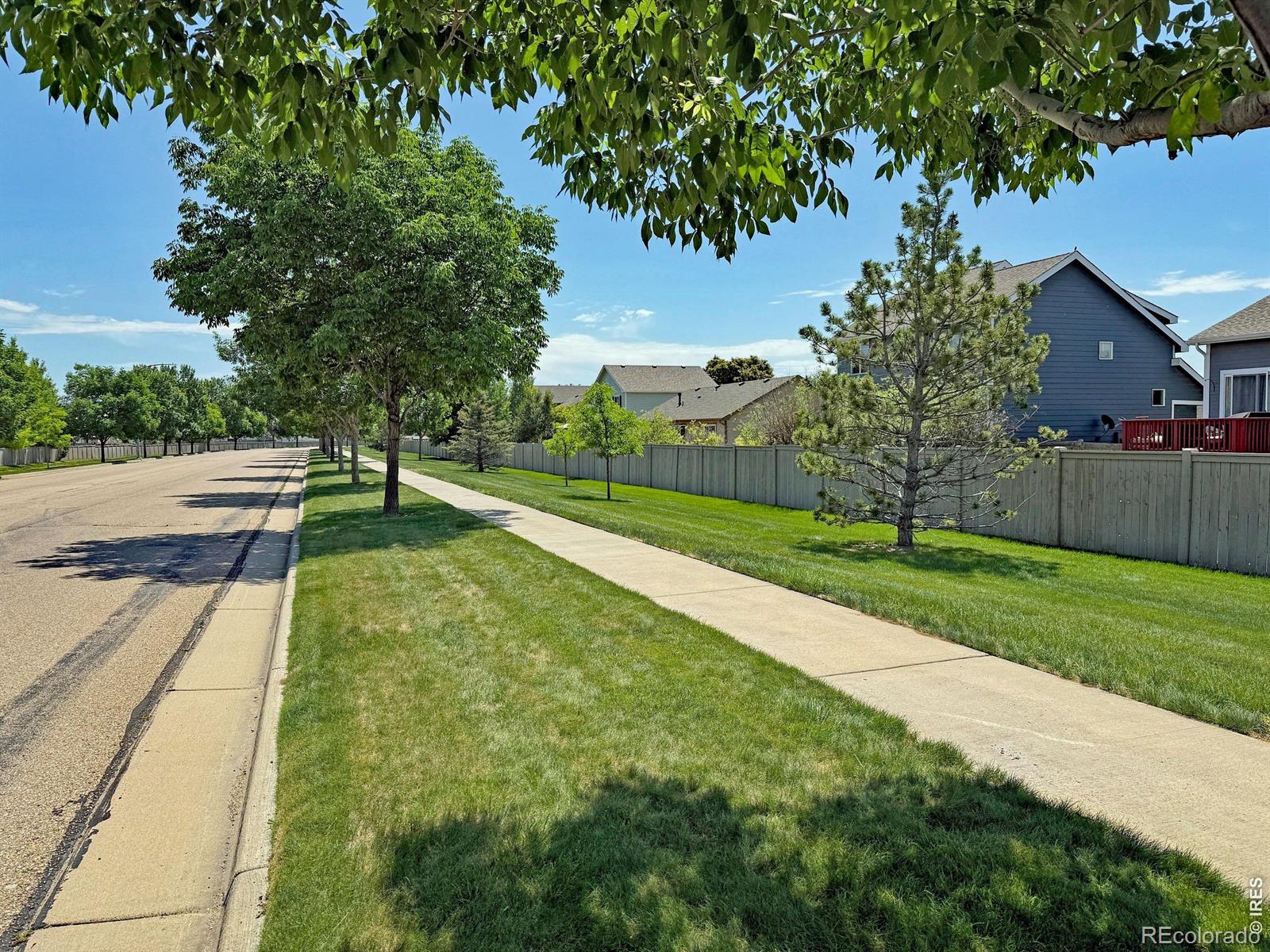 MLS Image #10 for 3268  white buffalo drive,wellington, Colorado