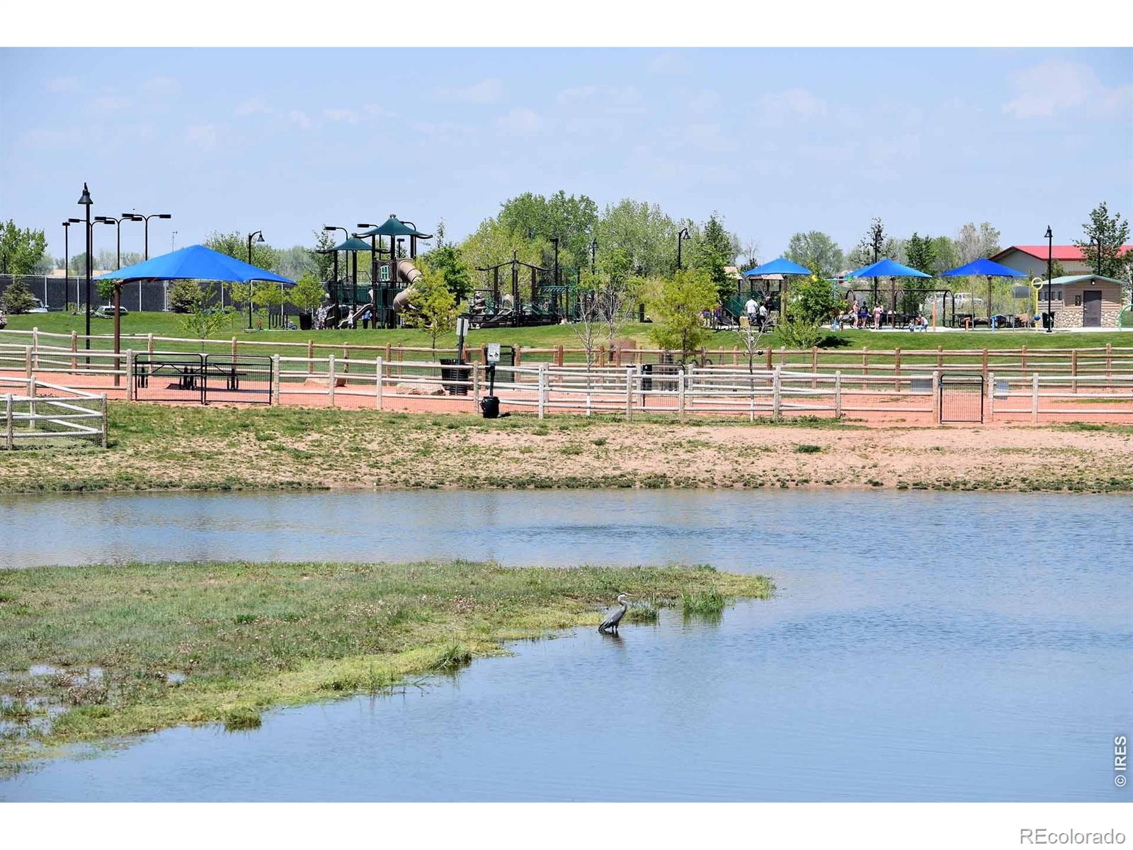 MLS Image #44 for 3268  white buffalo drive,wellington, Colorado