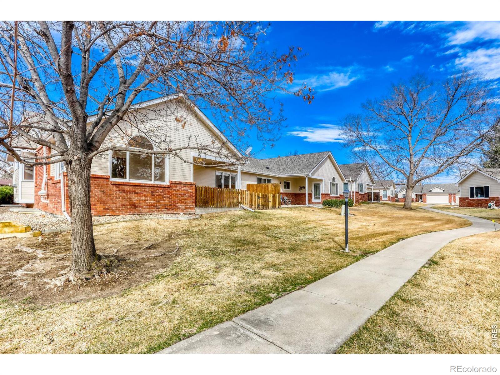 MLS Image #42 for 1534  spencer street,longmont, Colorado