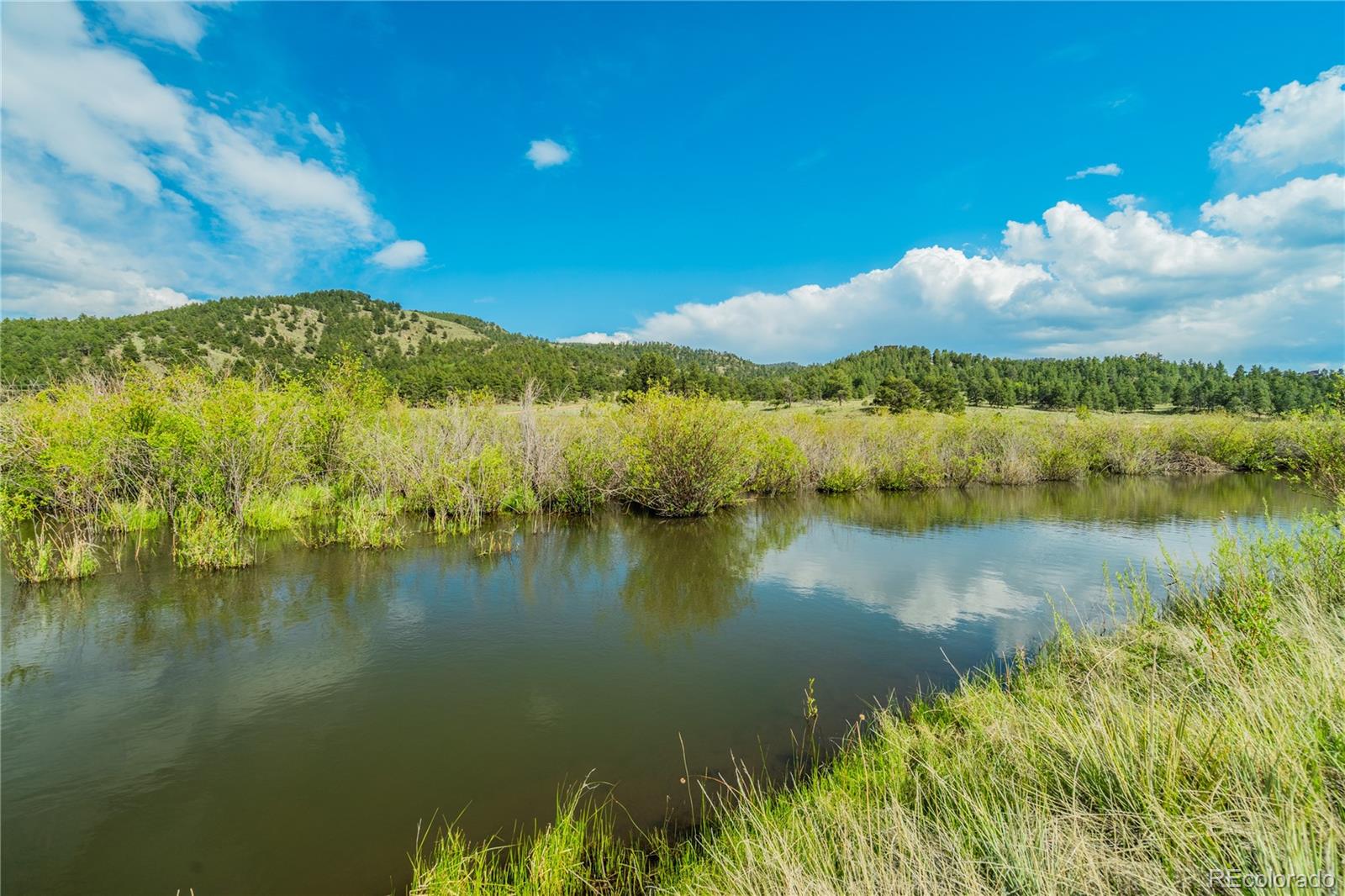 MLS Image #3 for 224  lakeview forest heights,florissant, Colorado