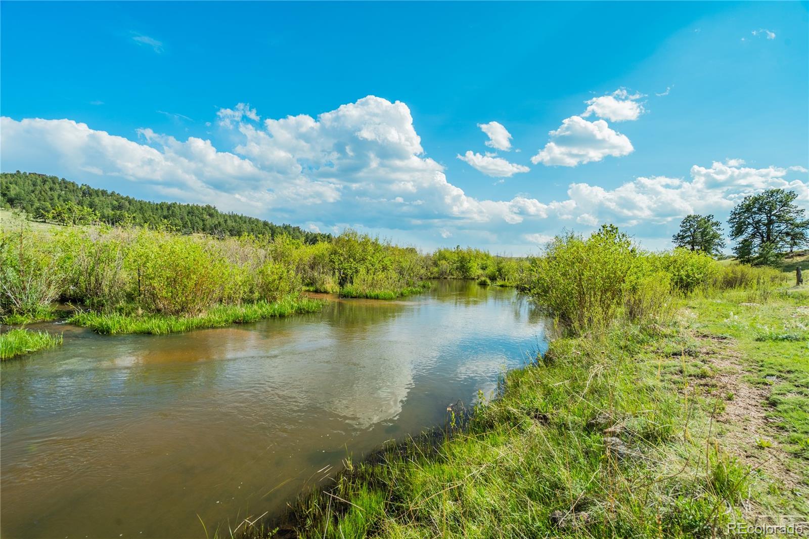 MLS Image #4 for 224  lakeview forest heights,florissant, Colorado