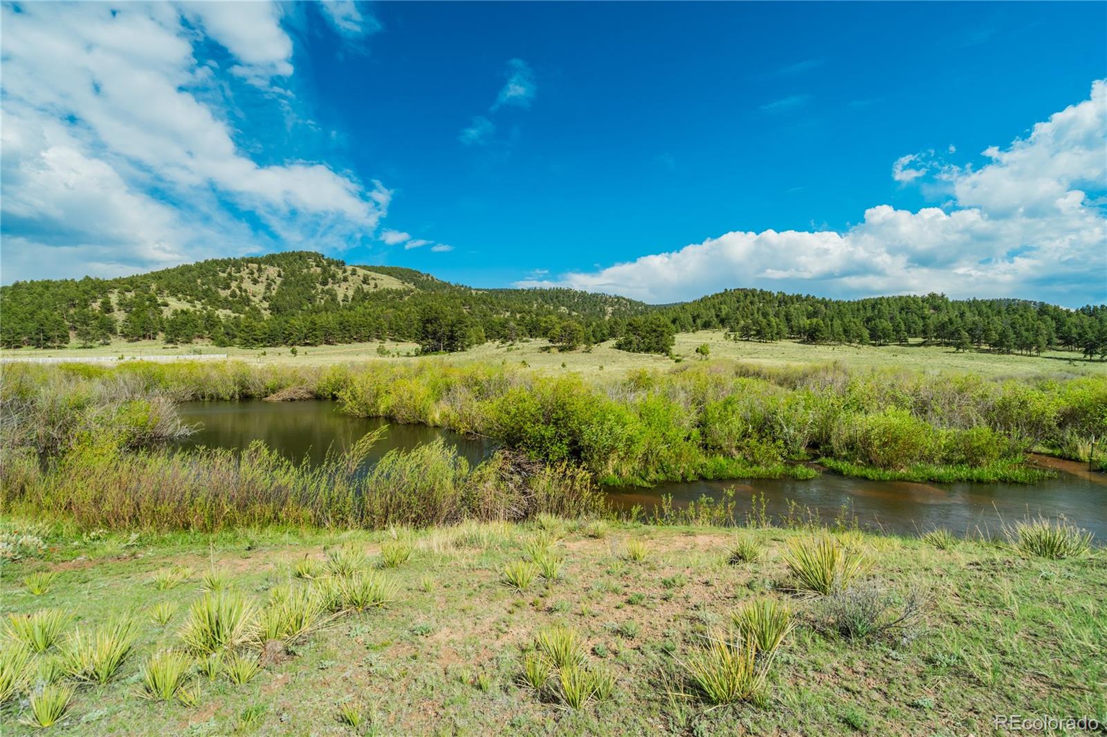 MLS Image #48 for 224  lakeview forest heights,florissant, Colorado