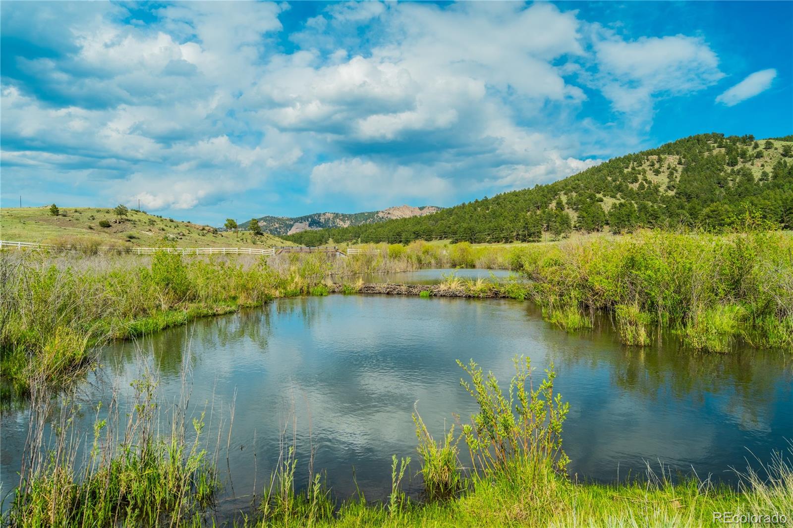 MLS Image #49 for 224  lakeview forest heights,florissant, Colorado