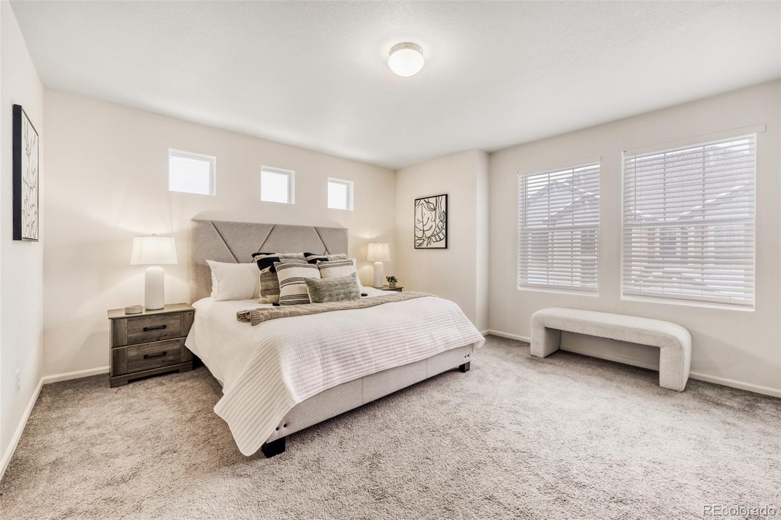MLS Image #8 for 18004 e 103rd avenue,commerce city, Colorado