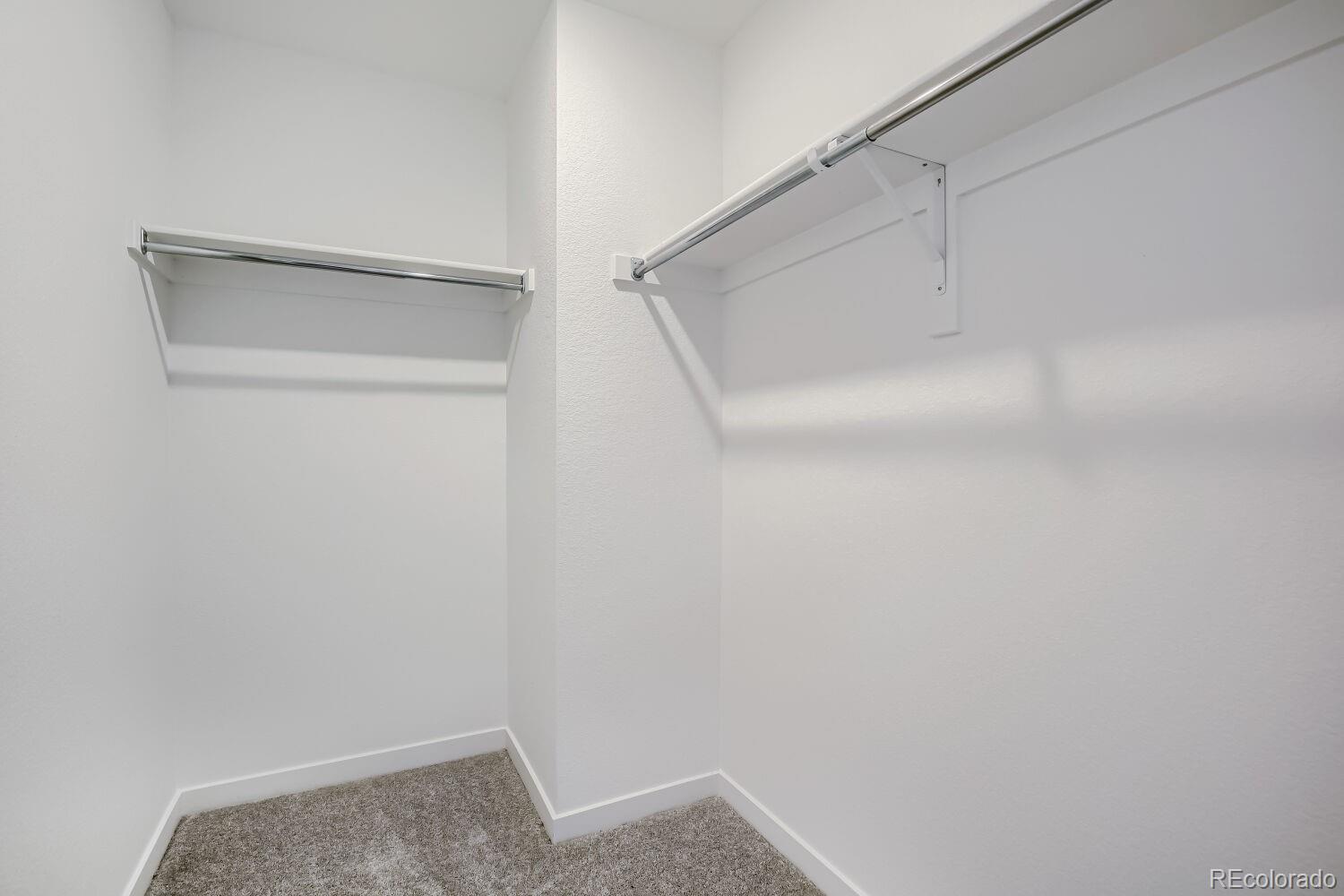 MLS Image #13 for 6403  masked lark street,fort collins, Colorado