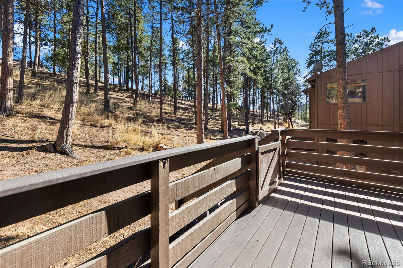 MLS Image #2 for 570  manor court,woodland park, Colorado