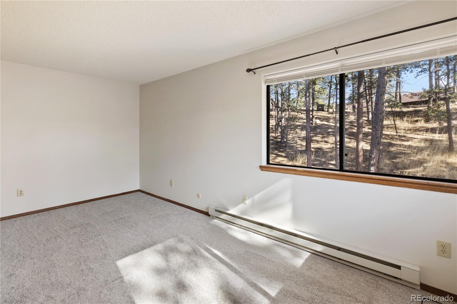 MLS Image #20 for 570  manor court,woodland park, Colorado