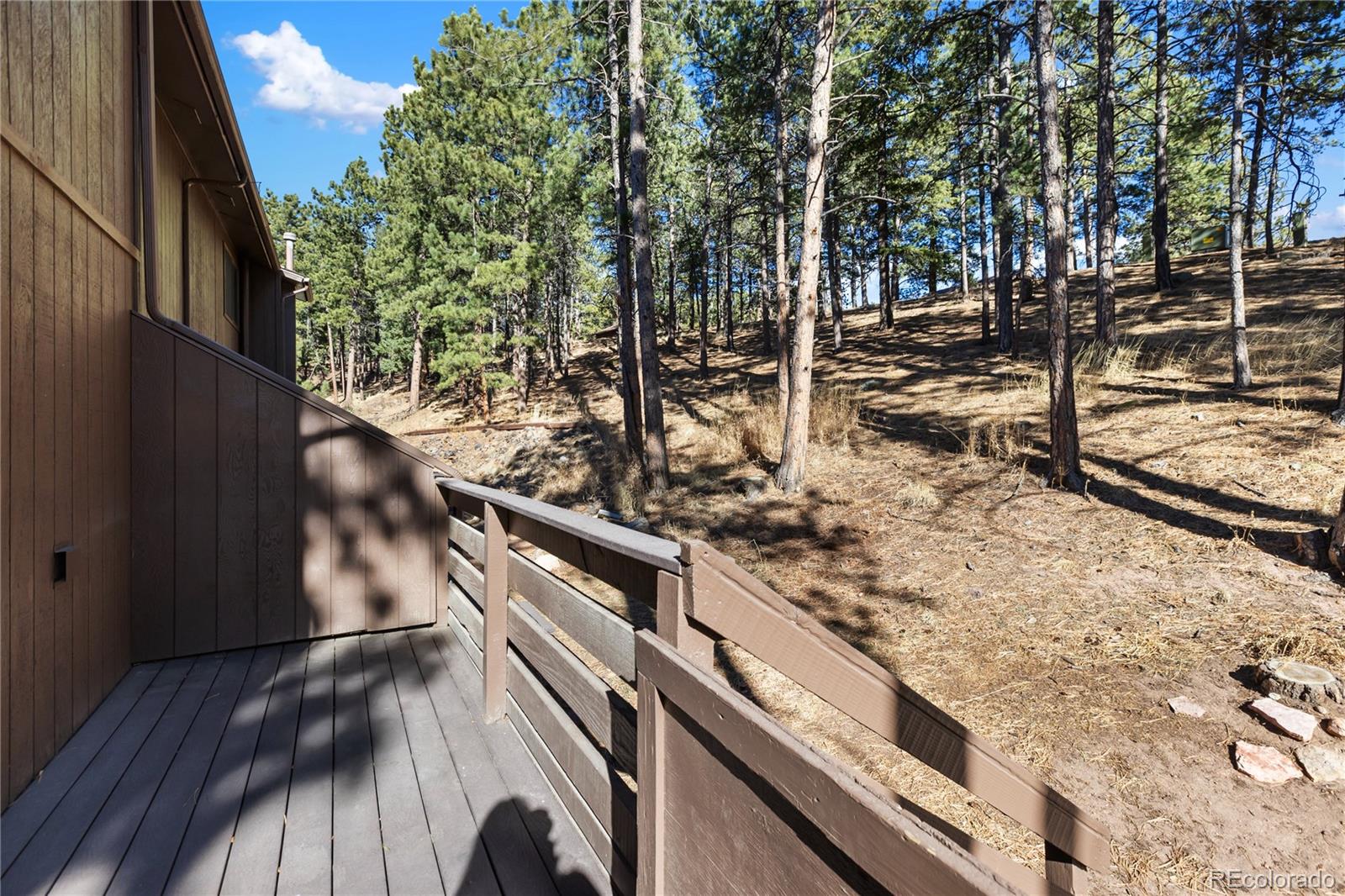 MLS Image #29 for 570  manor court,woodland park, Colorado