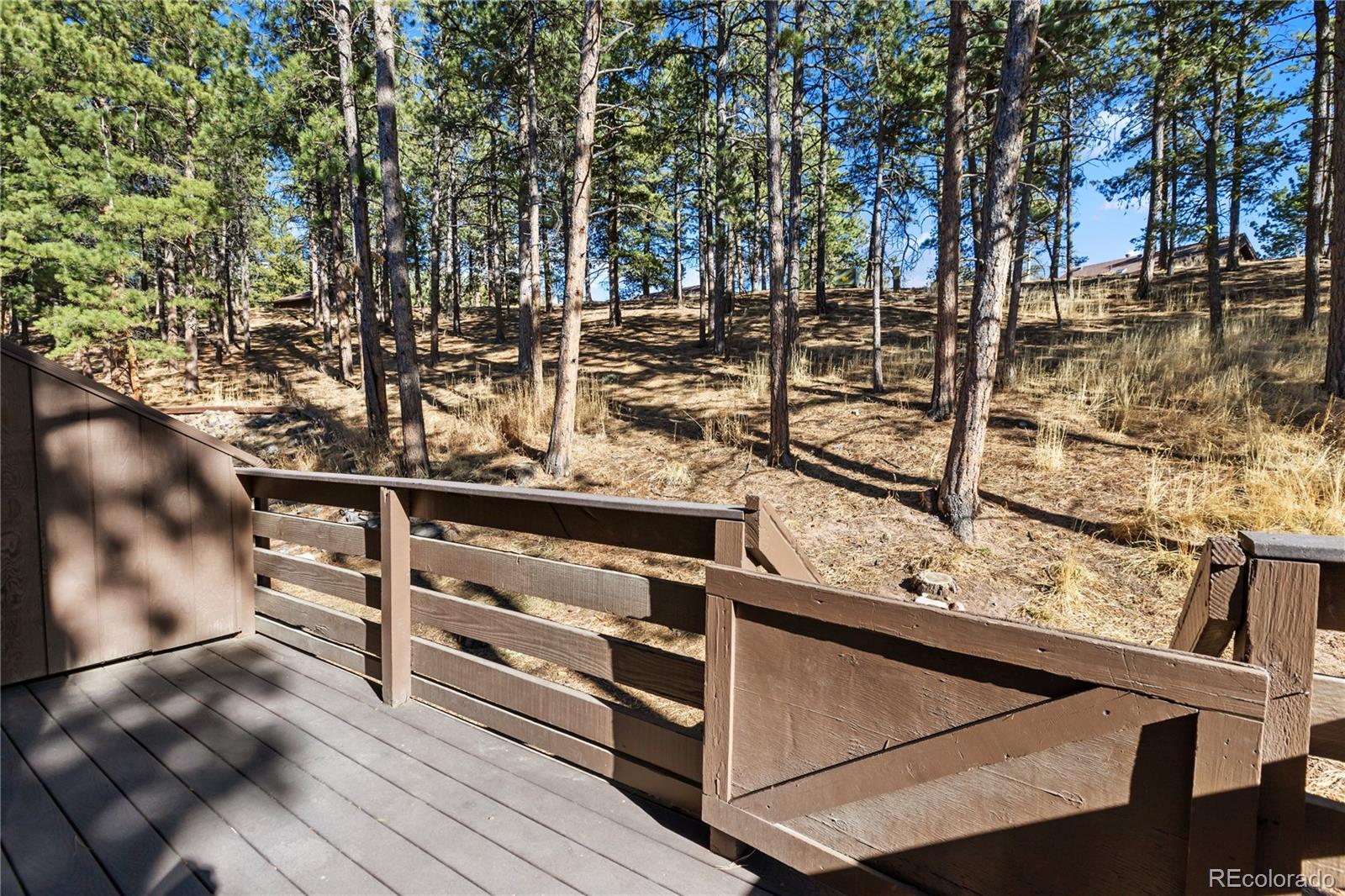 MLS Image #3 for 570  manor court,woodland park, Colorado