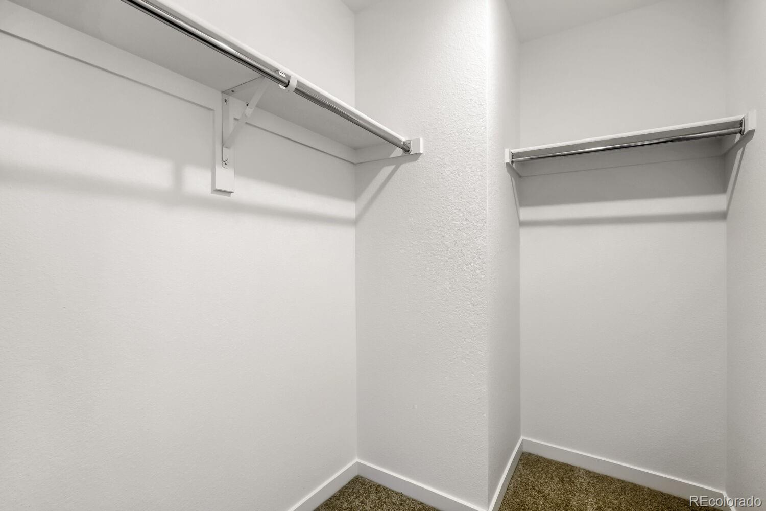 MLS Image #13 for 6407  masked lark street,fort collins, Colorado