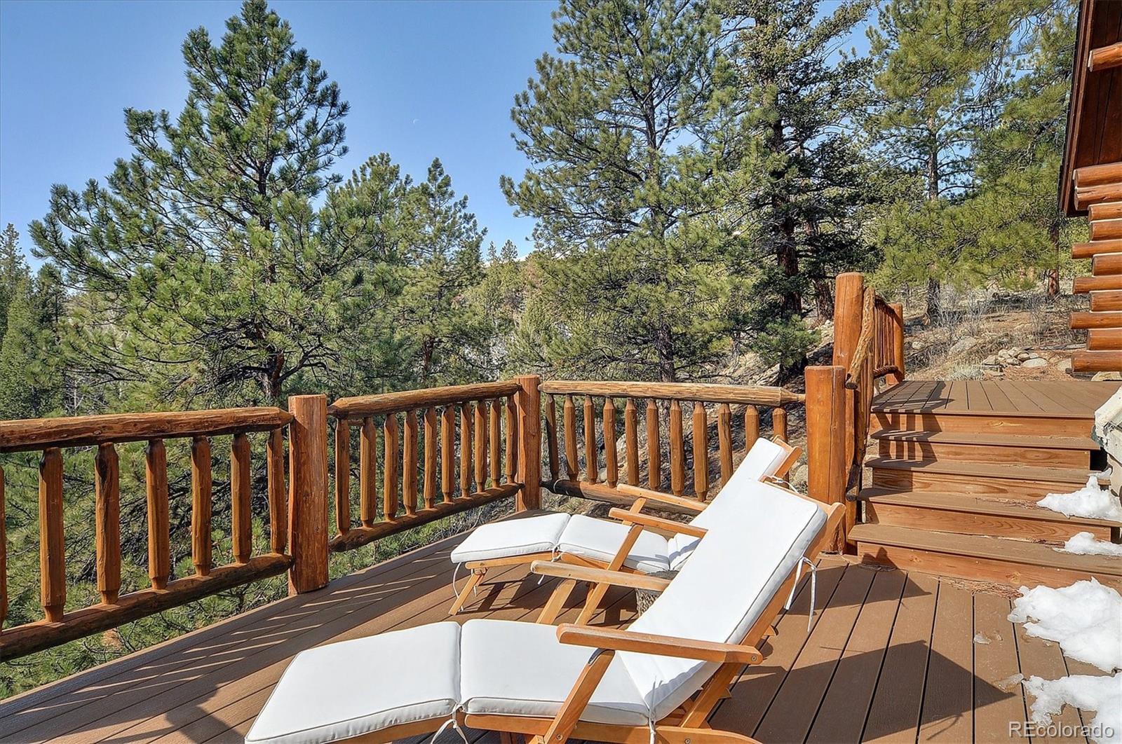 MLS Image #3 for 18610  morrison creek circle,buena vista, Colorado