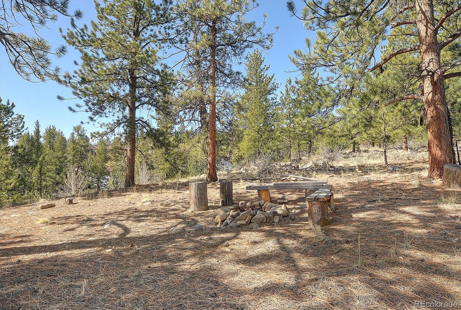 MLS Image #45 for 18610  morrison creek circle,buena vista, Colorado