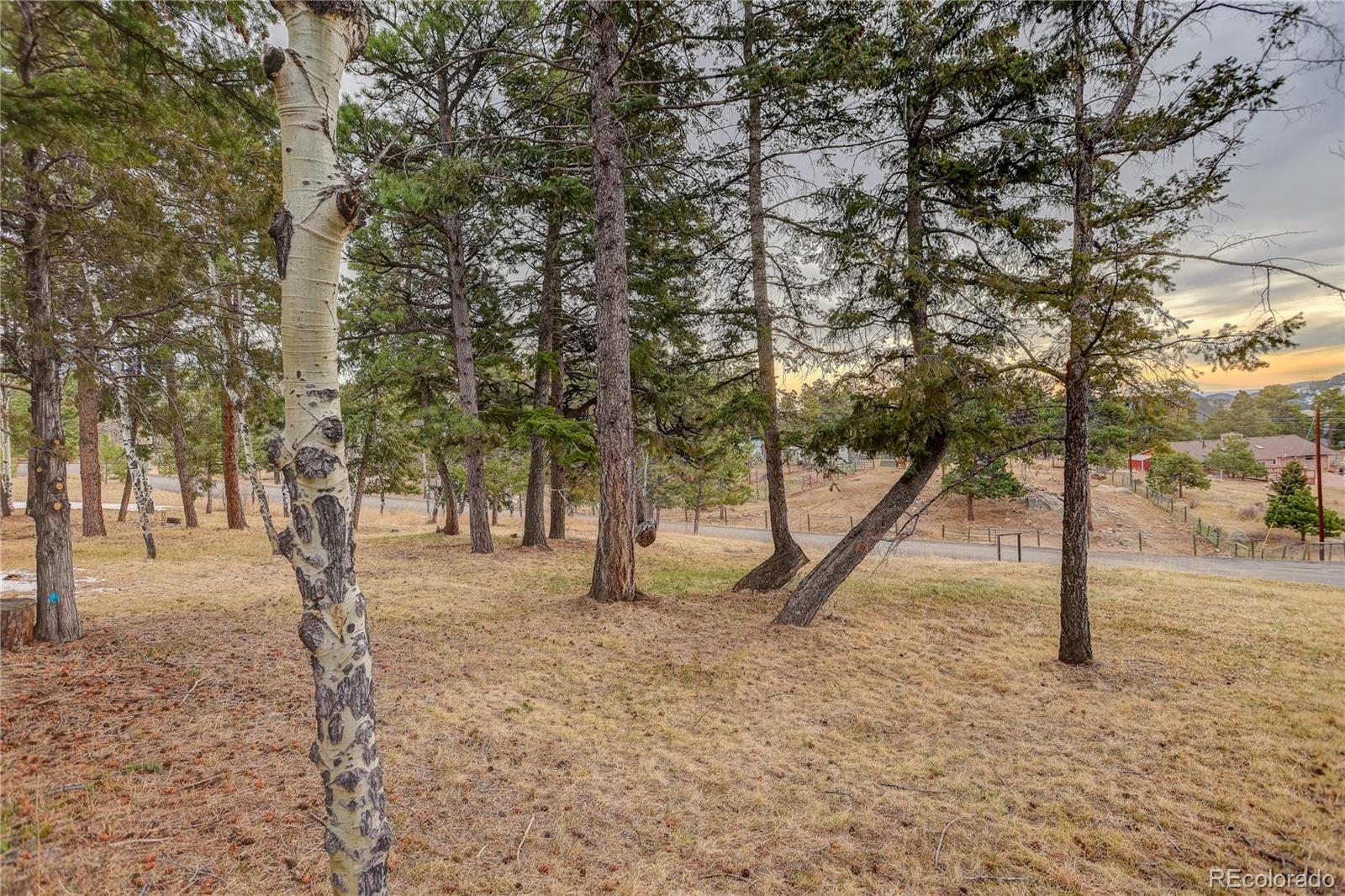 MLS Image #9 for 9039 s bertha court,morrison, Colorado