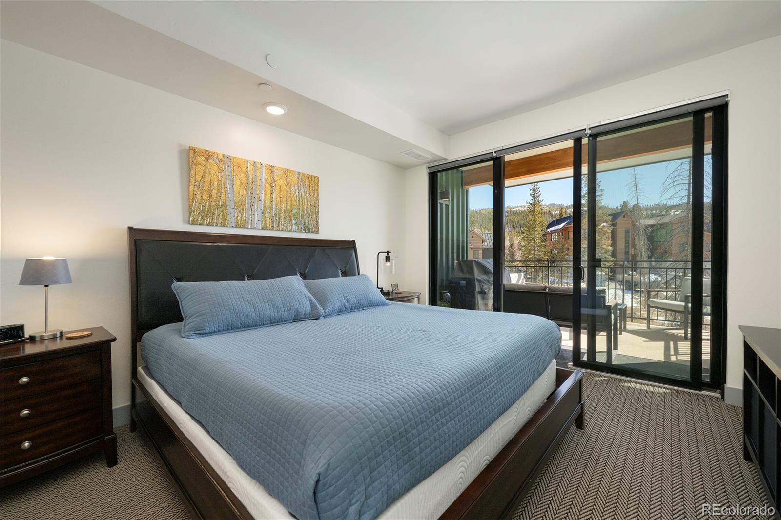 MLS Image #22 for 144  ski idlewild road,winter park, Colorado