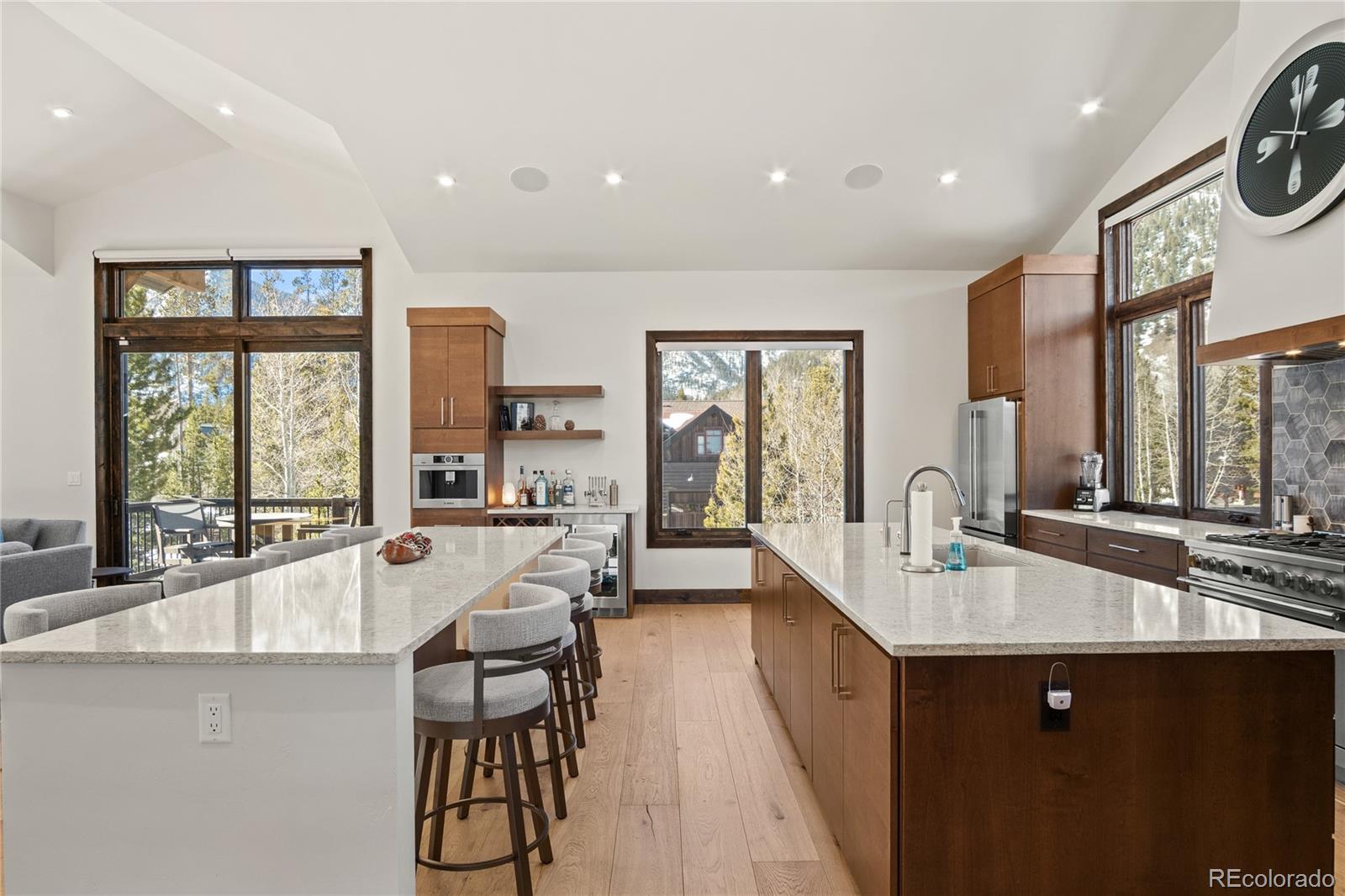 MLS Image #11 for 110  windflower lane,frisco, Colorado