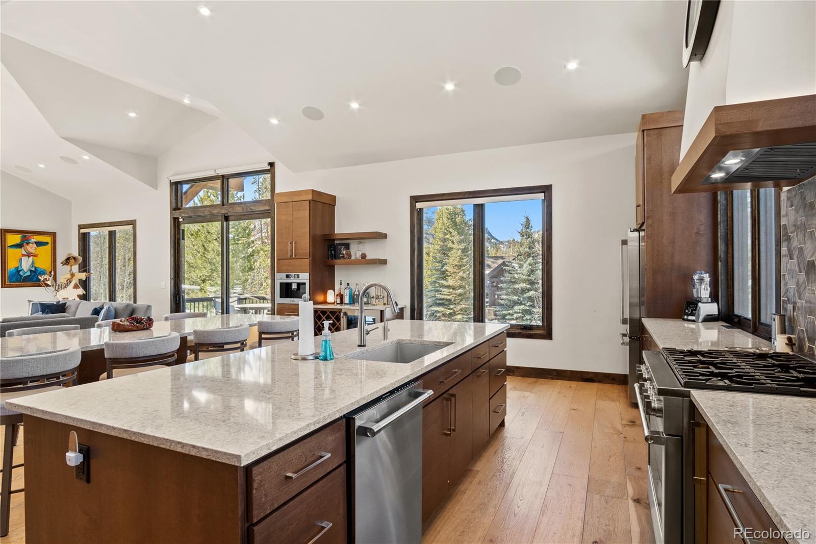 MLS Image #12 for 110  windflower lane,frisco, Colorado