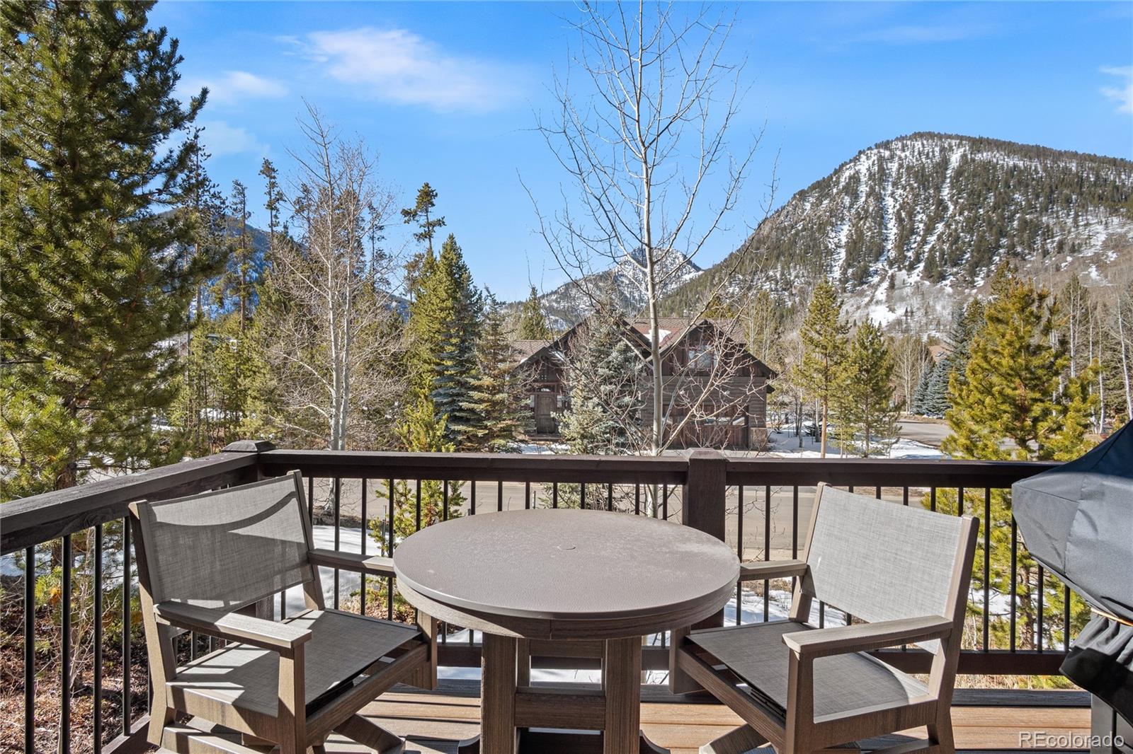 MLS Image #17 for 110  windflower lane,frisco, Colorado
