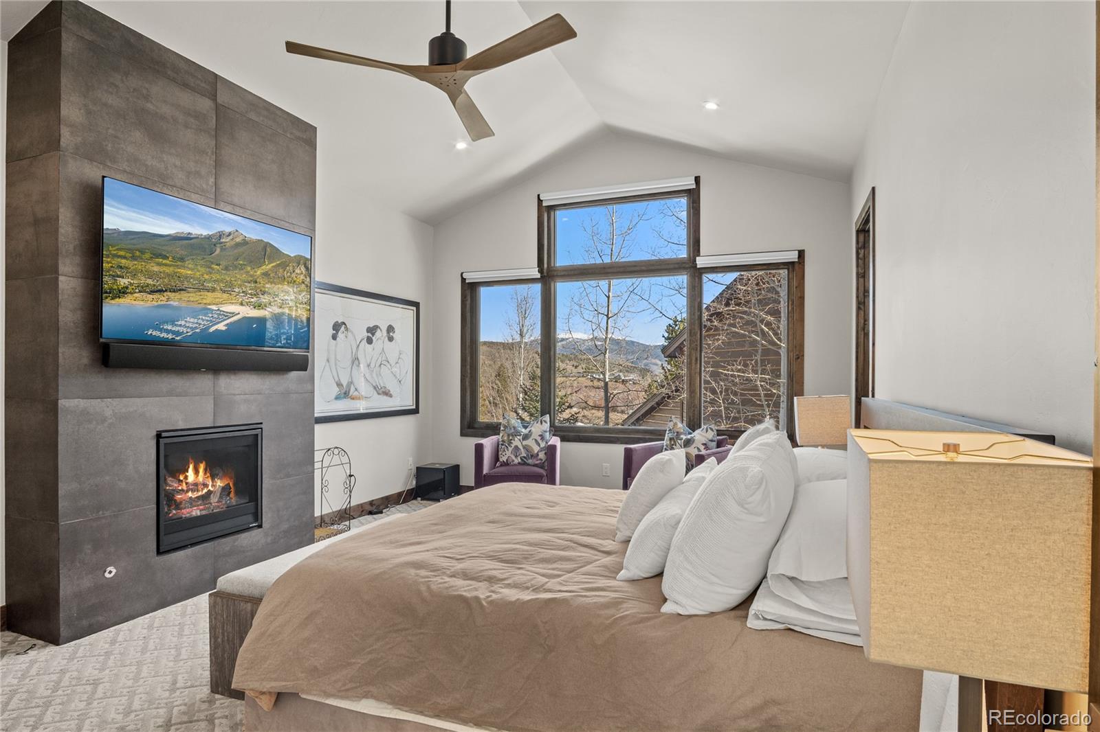 MLS Image #25 for 110  windflower lane,frisco, Colorado